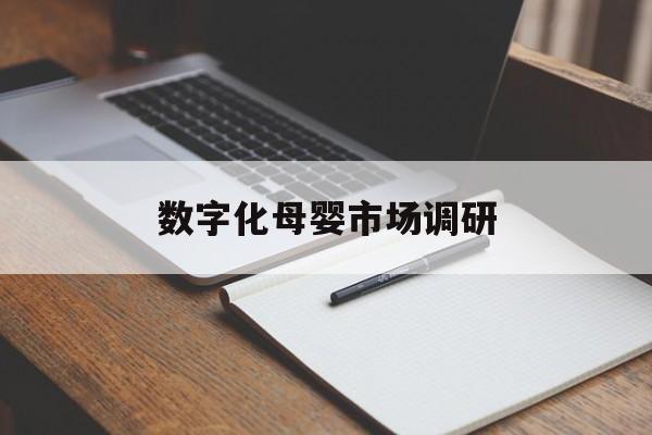 潜江市数字化母婴市场调研(数字化母婴市场调研报告)